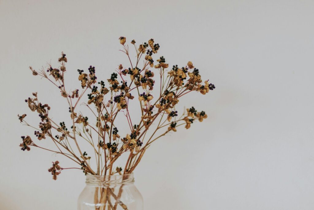 Aesthetic minimalist shot of dried flowers and berries in a glass jar on a white background.
