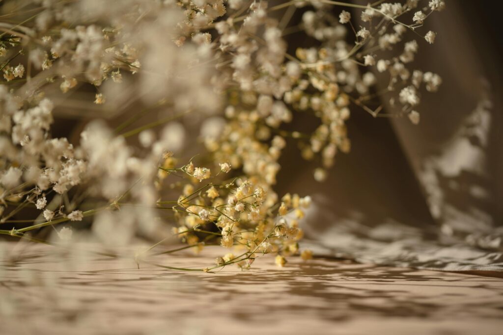 Close-up of delicate baby's breath flowers in natural light, casting gentle shadows.